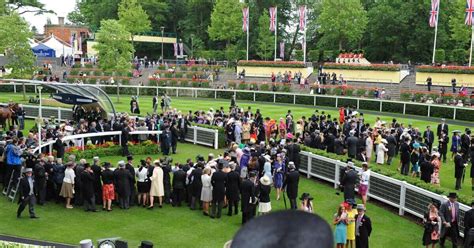 King George Stakes Preview, Tips, Runners & Trends (Glorious .